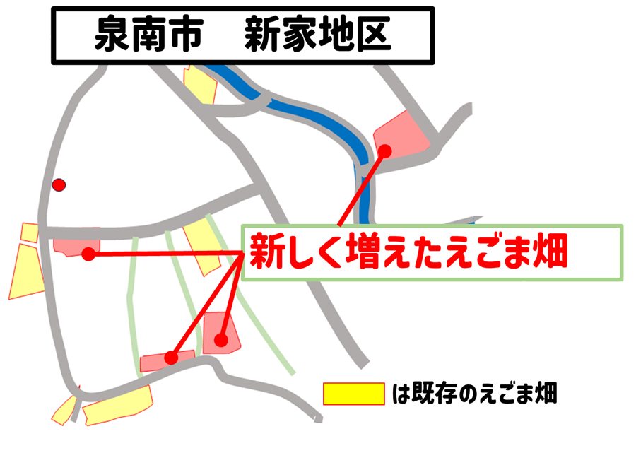 泉南市新家地区のえごま畑の位置を示す地図