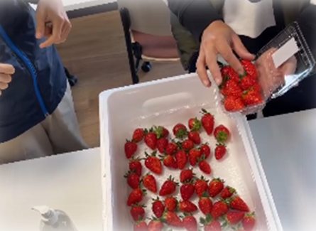 収穫したいちごを選別するようす
